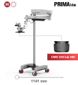Lite CMO 250-300.png