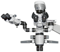 Magna.png
