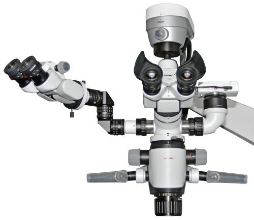Magna.png